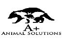 A+ Animal Solutions logo
